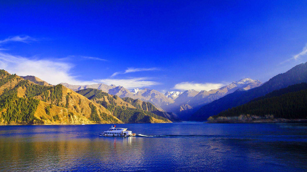 磁力链接搜索最新，轻松获取海量资源