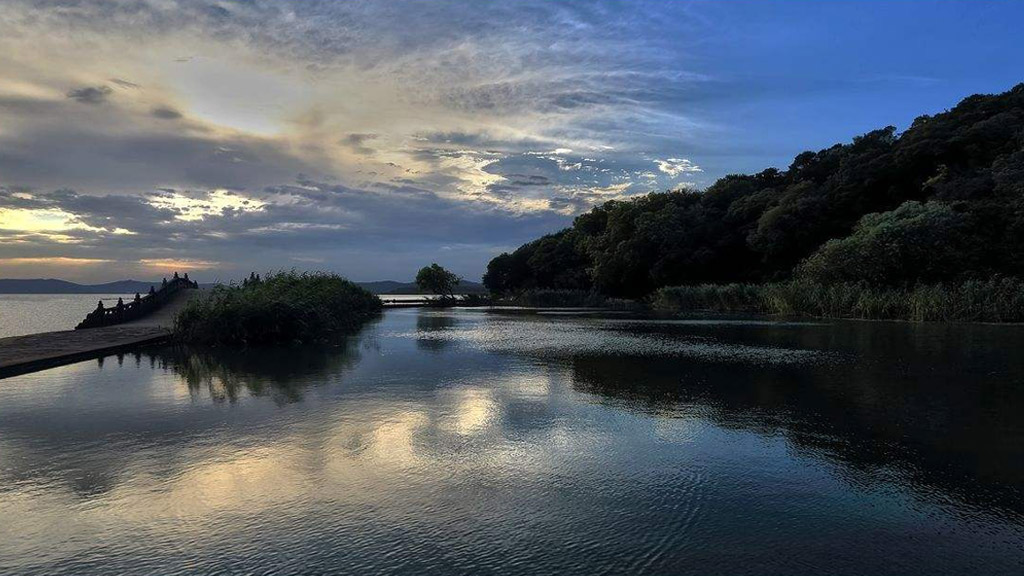 最佳磁力引擎-磁力天堂，让你畅享无限精彩