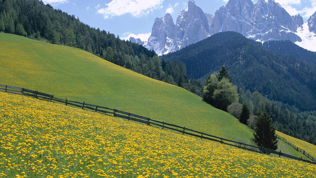 柠檬磁力搜索神器:极速搜索,畅享无限精彩