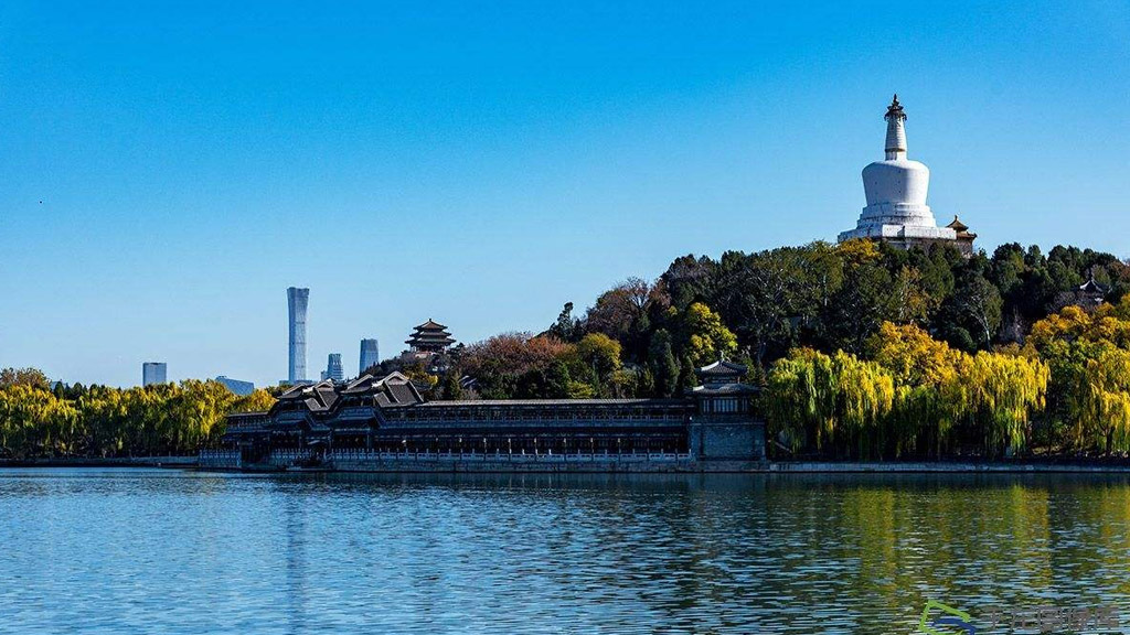 探索网络世界的双面镜:当“情色BT链接”成为数字时代的隐秘符号